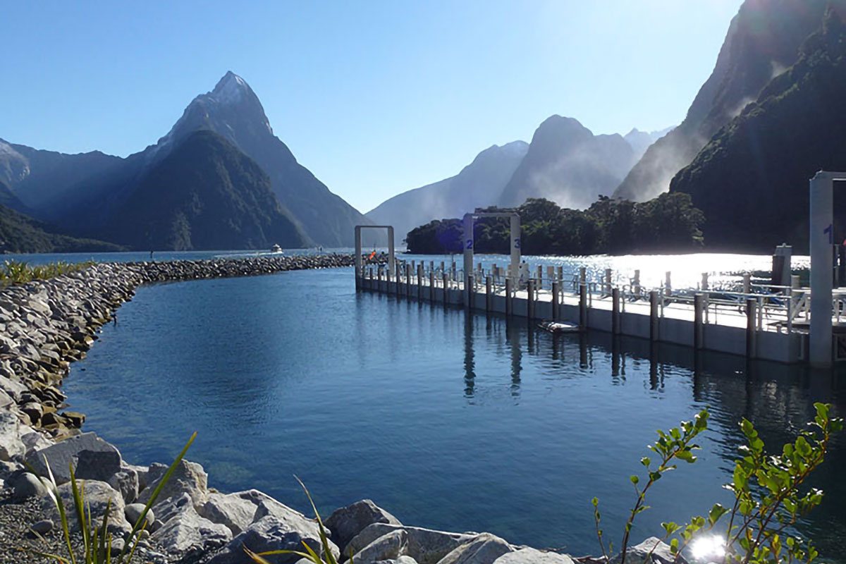 milford-sound-harbour-07