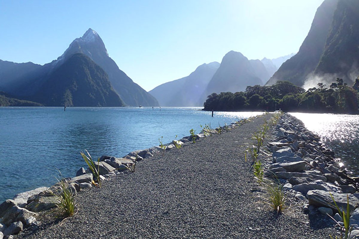 milford-sound-harbour-08